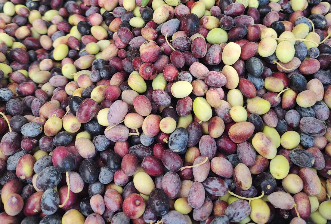 Was ist der Unterschied zwischen nativem und extra nativem Olivenöl?