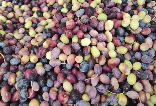 Was ist der Unterschied zwischen nativem und extra nativem Olivenöl?